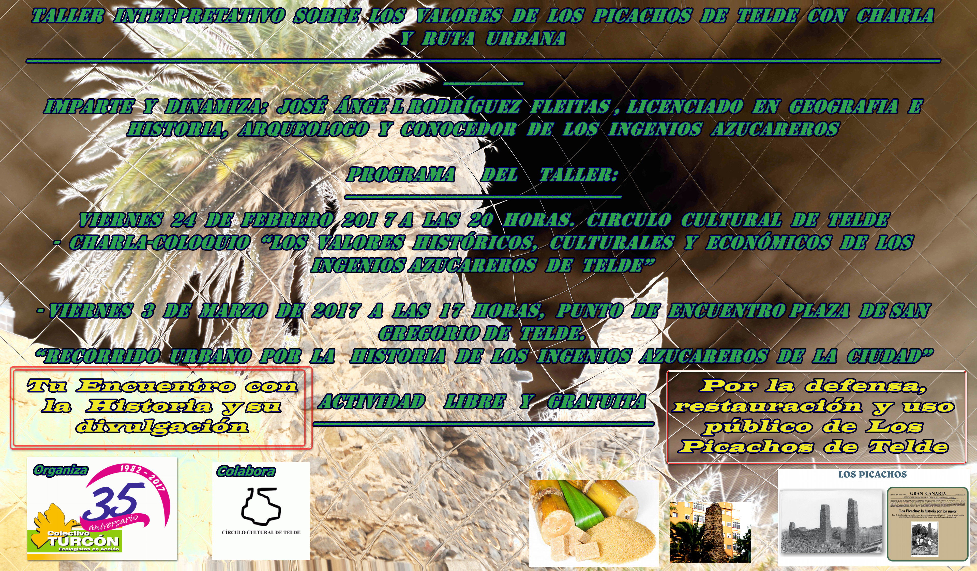 Cartel del Taller Interpretativo sobre Los Picachos